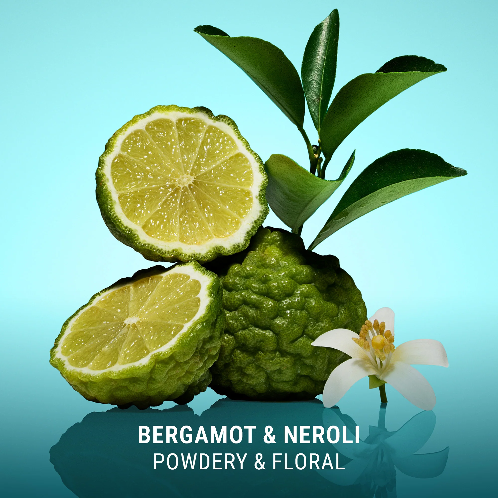BODY RENEWAL SET - Image 16